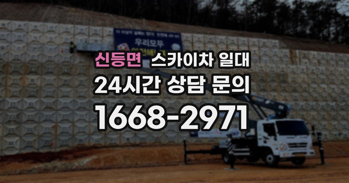 신등면 스카이차 일대