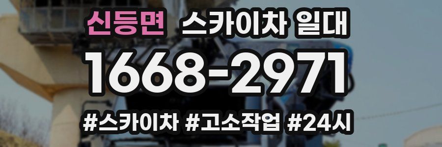 신등면 스카이차 일대