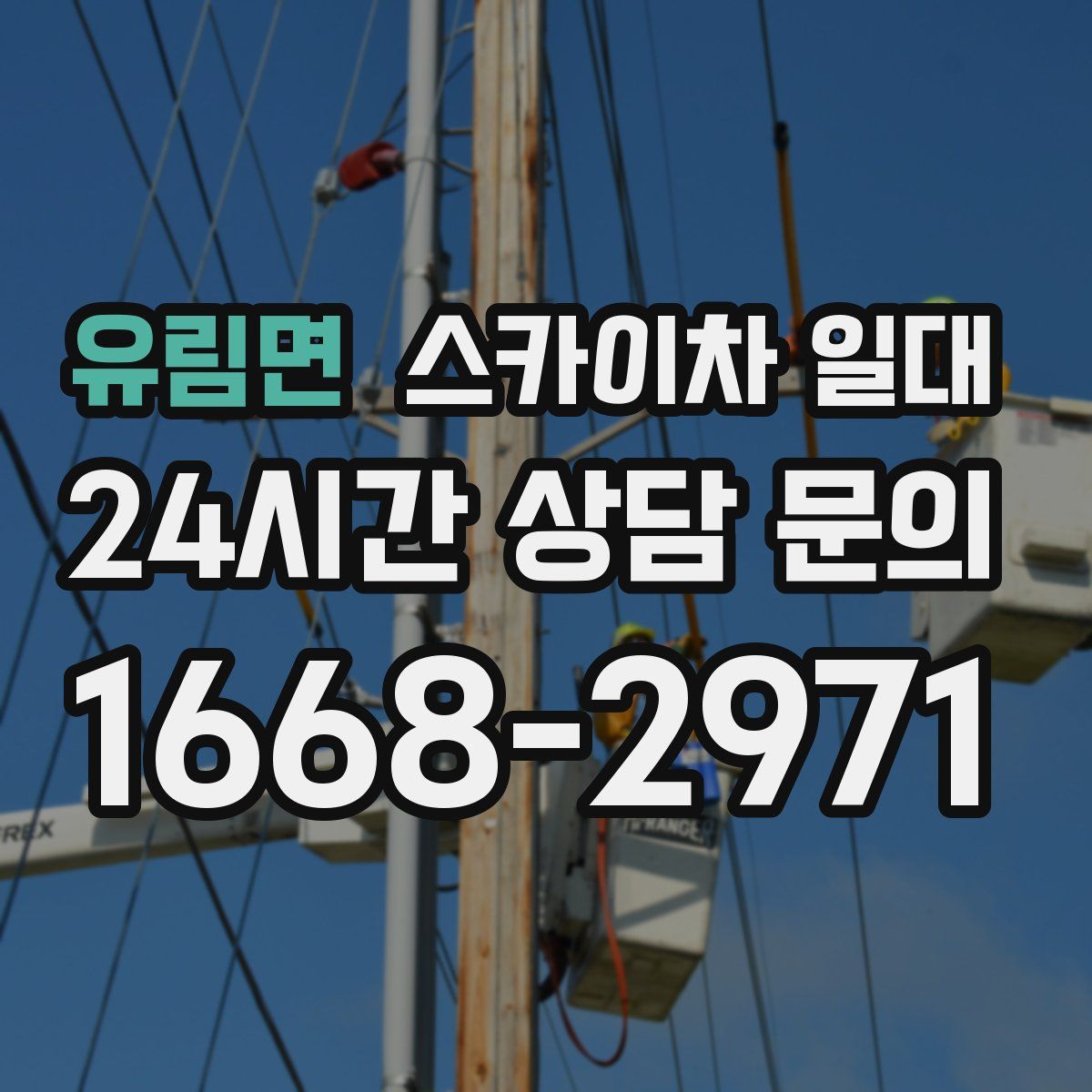 유림면 스카이차 일대