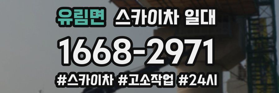 유림면 스카이차 일대