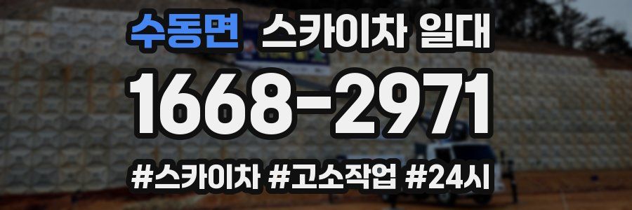 수동면 스카이차 일대