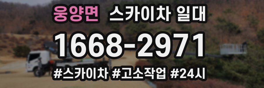 웅양면 스카이차 일대