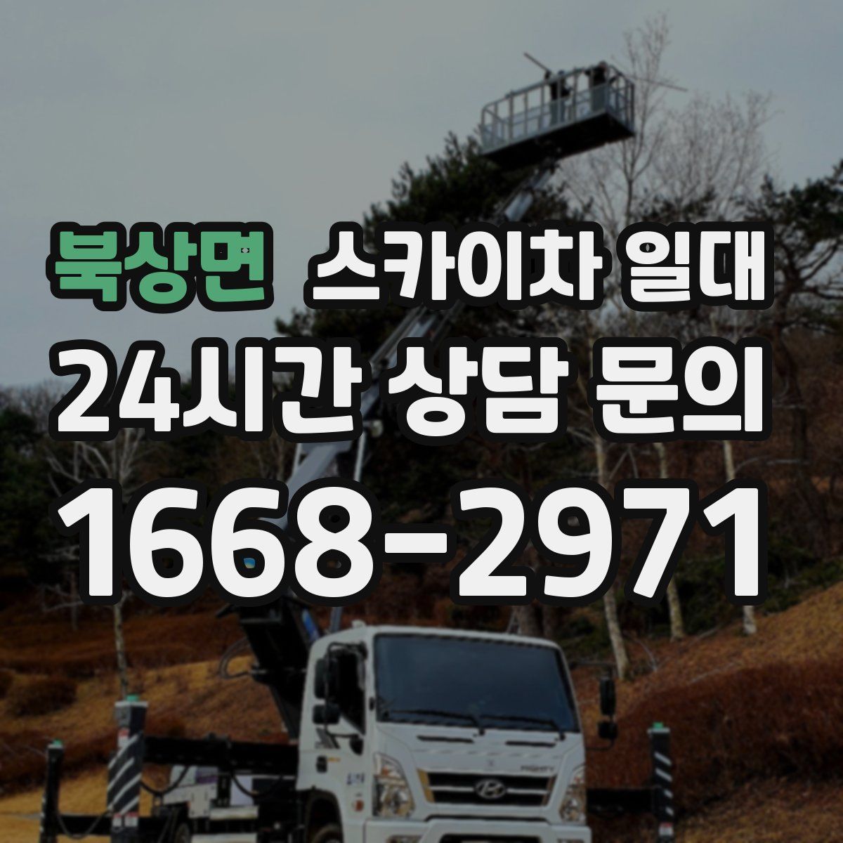 북상면 스카이차 일대