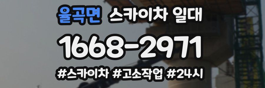 율곡면 스카이차 일대