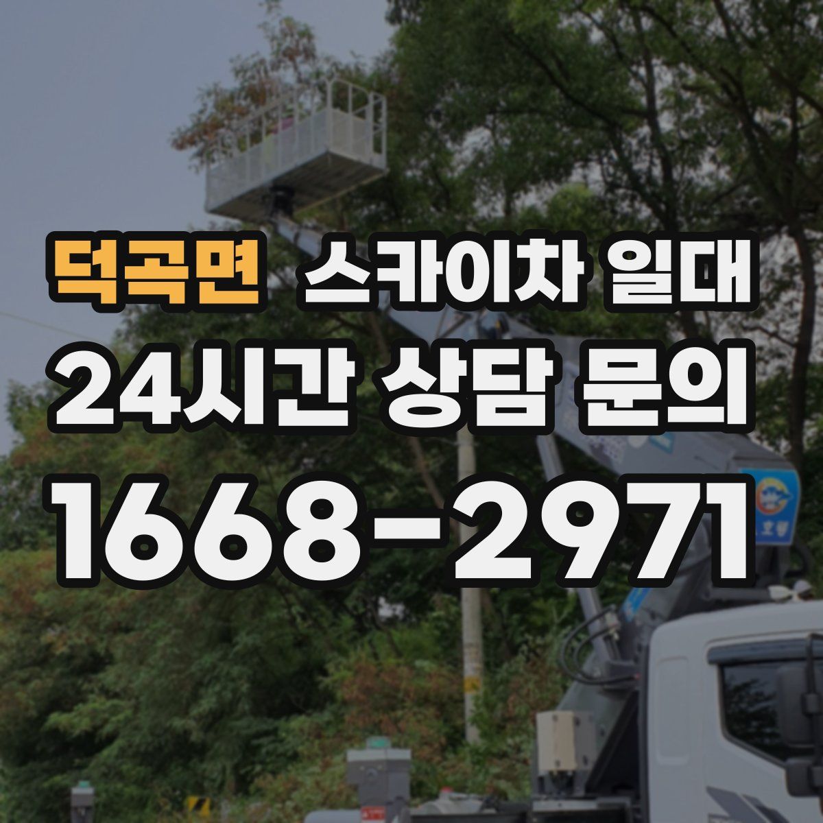덕곡면 스카이차 일대