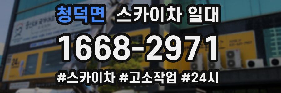 청덕면 스카이차 일대