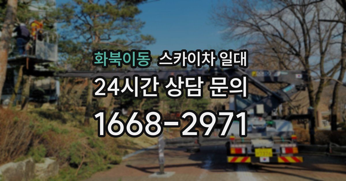 화북이동 스카이차 일대
