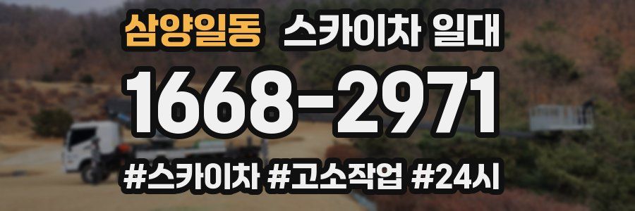 삼양일동 스카이차 일대