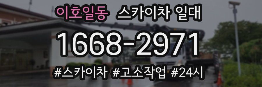 이호일동 스카이차 일대