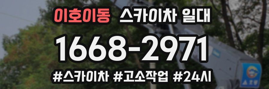 이호이동 스카이차 일대