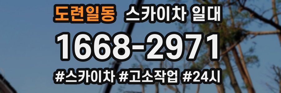 도련일동 스카이차 일대