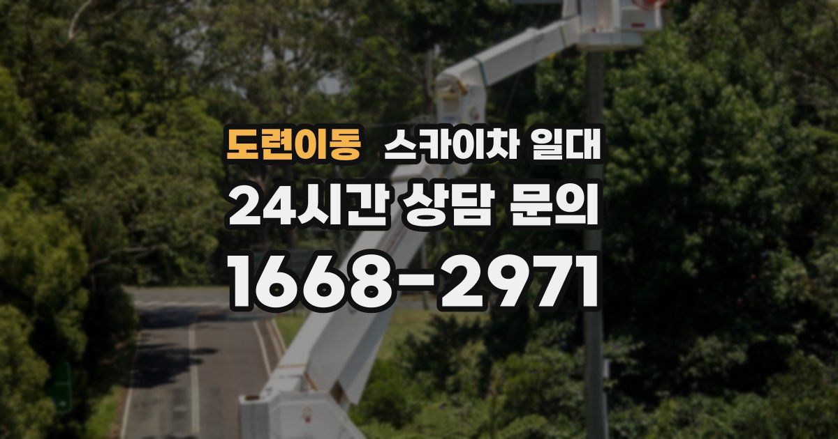 도련이동 스카이차 일대