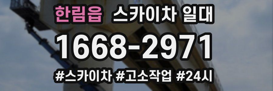 한림읍 스카이차 일대