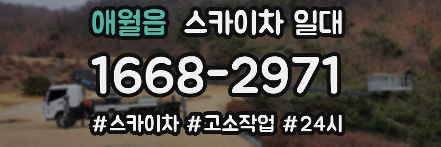 애월읍 스카이차 일대