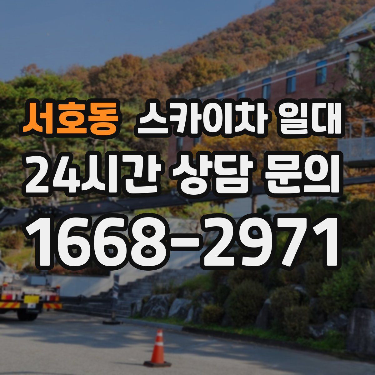 서호동 스카이차 일대