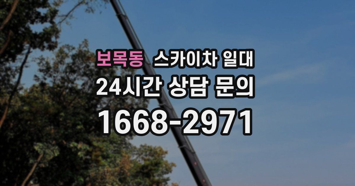 보목동 스카이차 일대