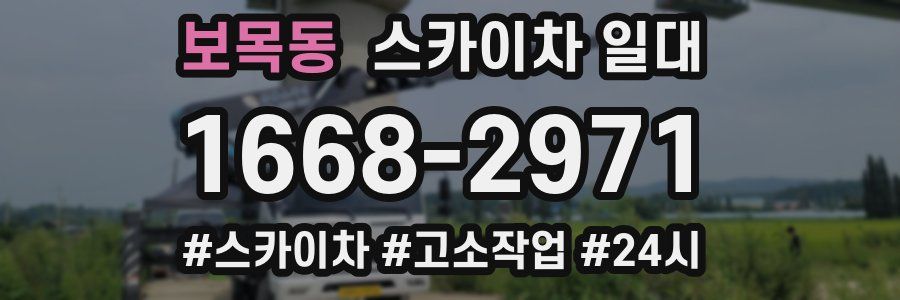 보목동 스카이차 일대