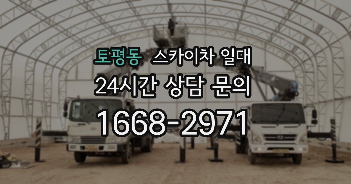토평동 스카이차 일대