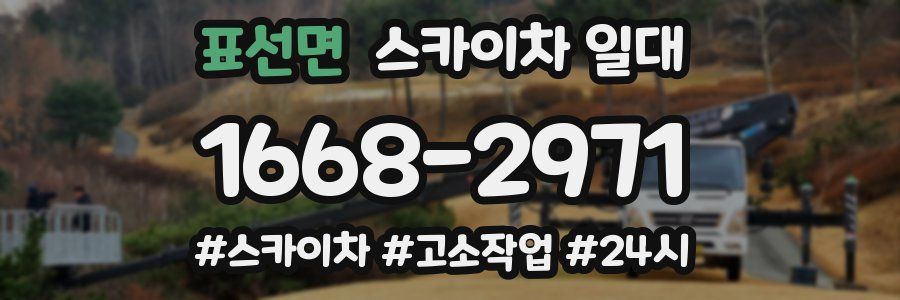 표선면 스카이차 일대