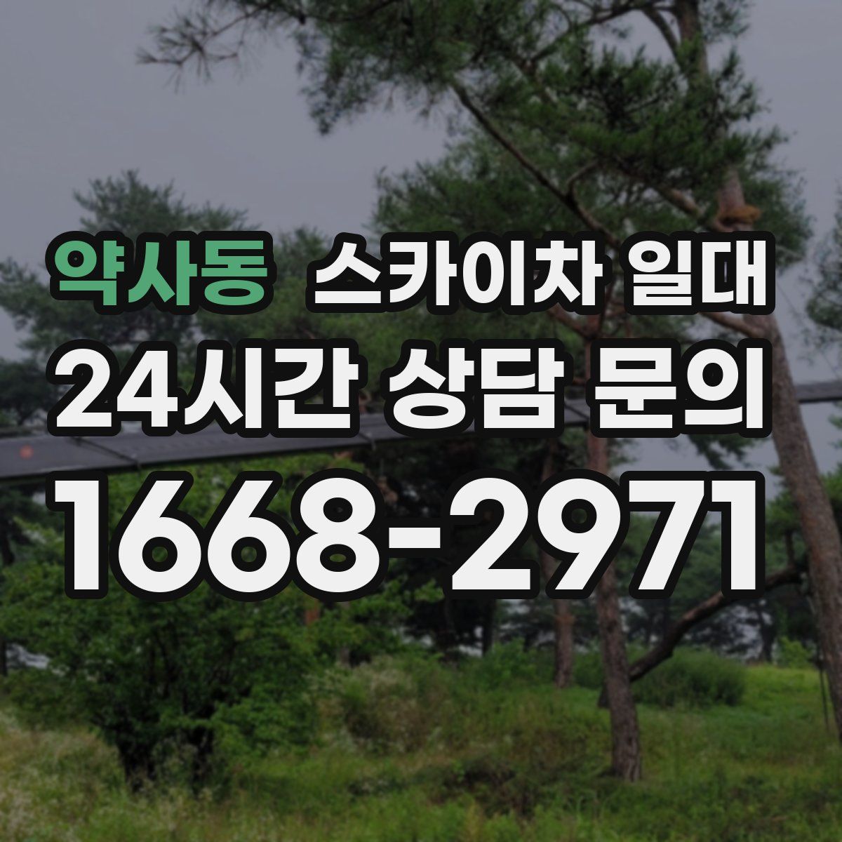 약사동 스카이차 일대