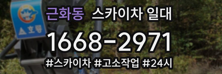근화동 스카이차 일대