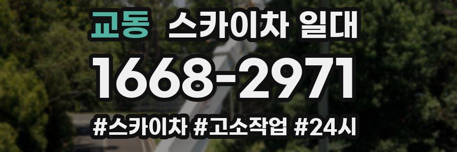 교동 스카이차 일대