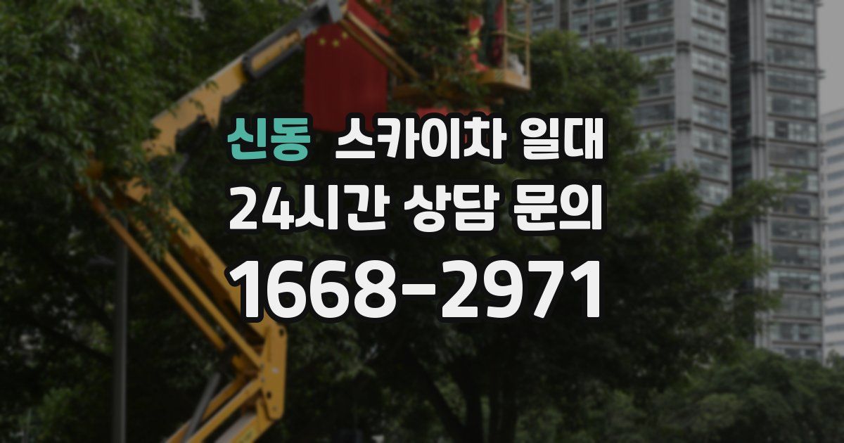 신동 스카이차 일대