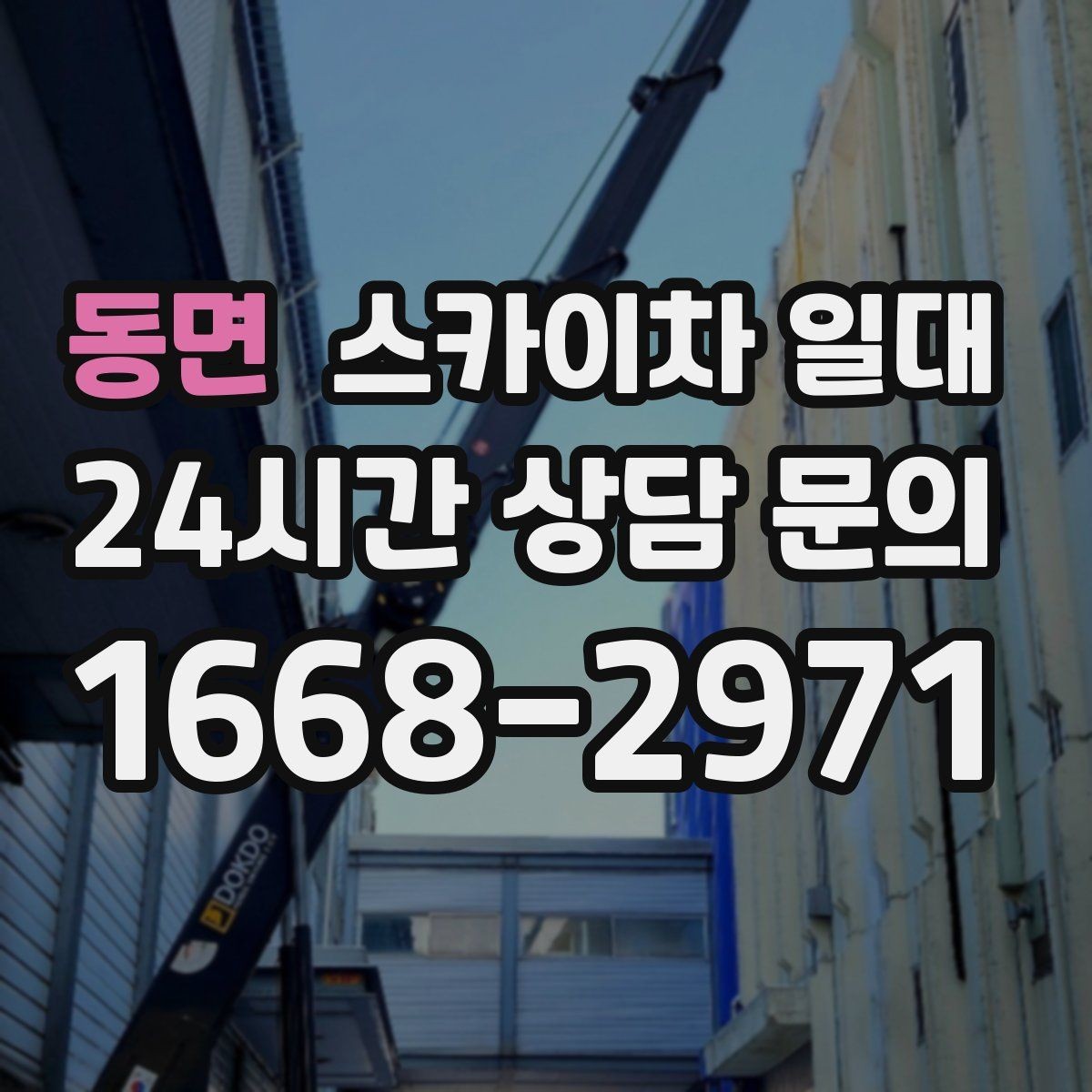 동면 스카이차 일대 현장 대응이 빠른 업체를 고르는 법