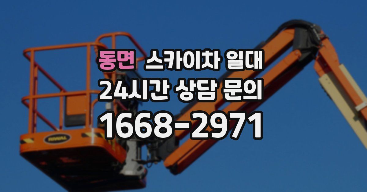 동면 스카이차 일대