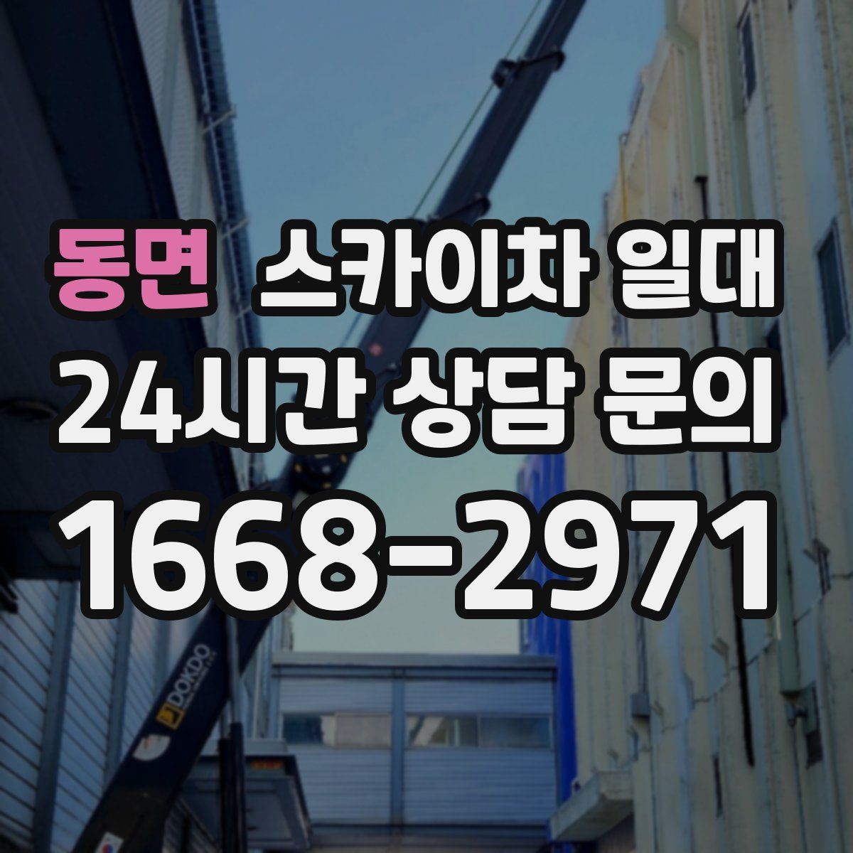동면 스카이차 일대