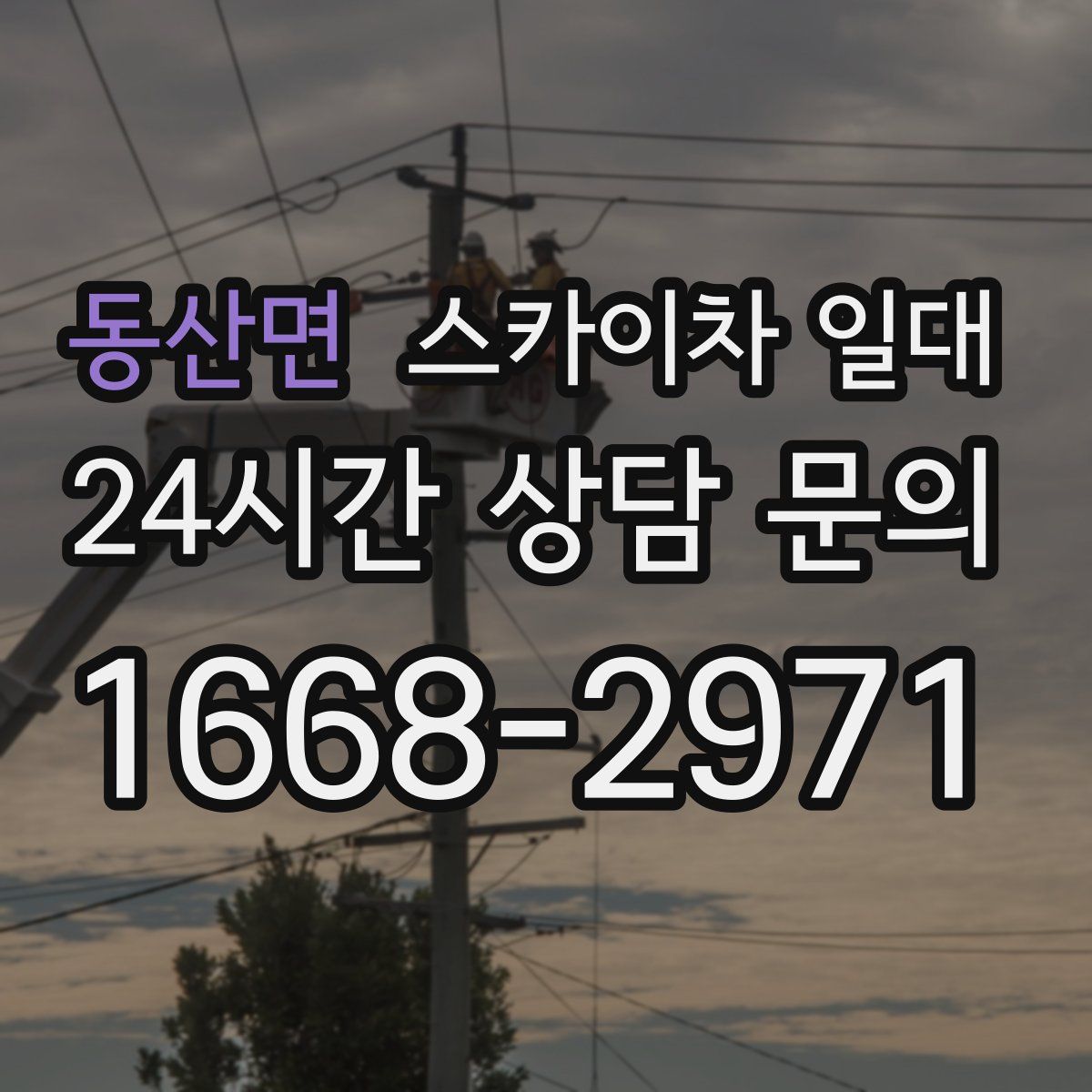 동산면 스카이차 일대