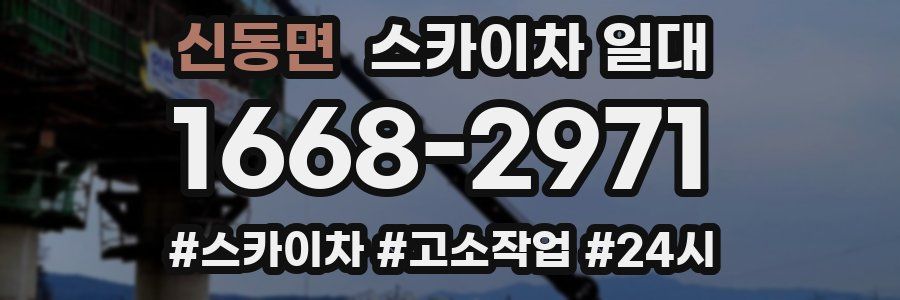 신동면 스카이차 일대