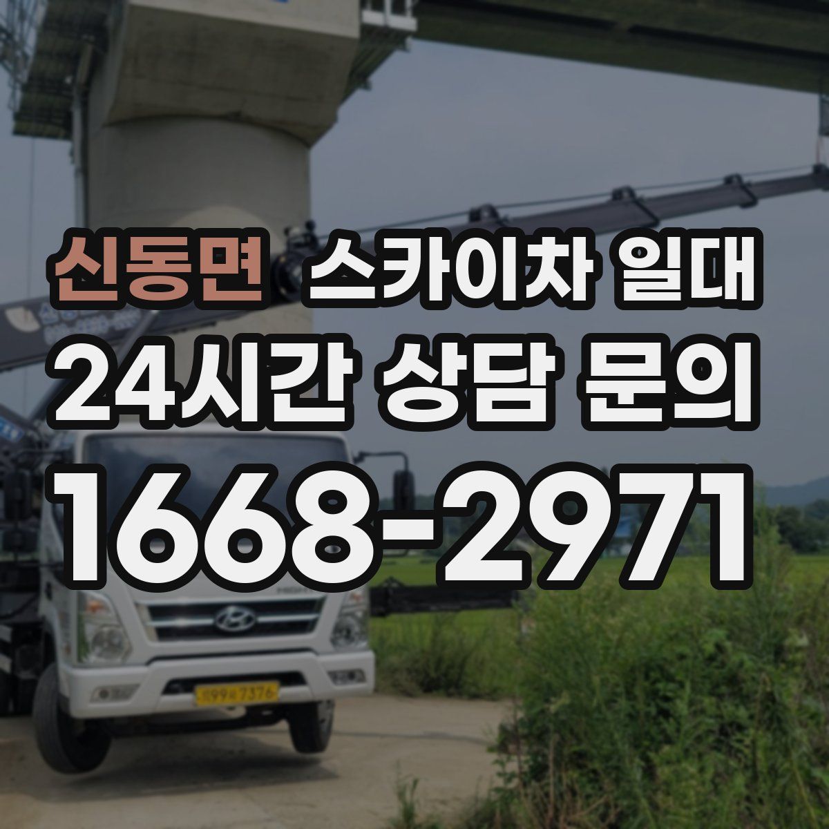 신동면 스카이차 일대