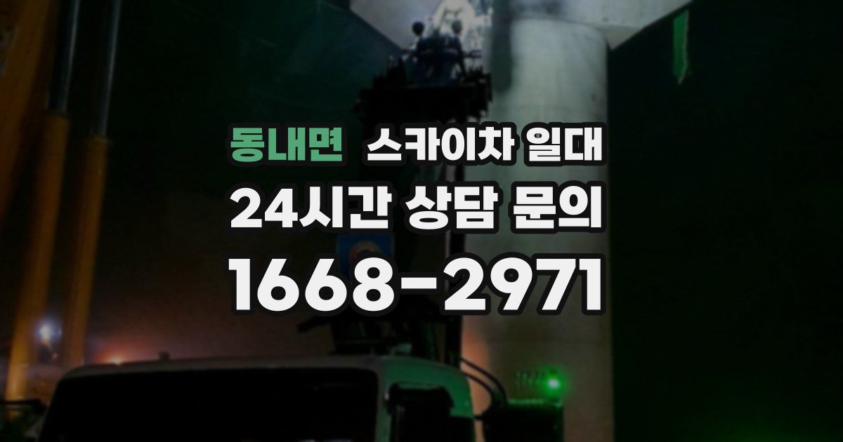동내면 스카이차 일대