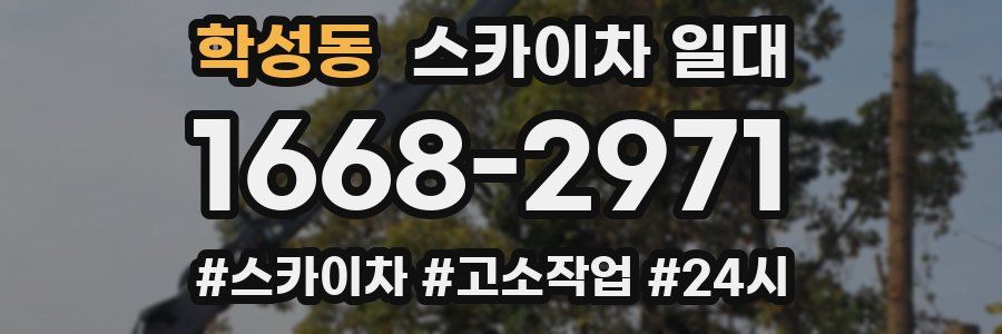 학성동 스카이차 일대