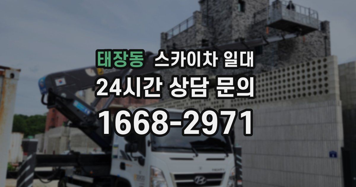 태장동 스카이차 일대