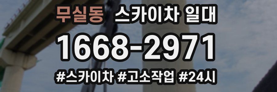 무실동 스카이차 일대