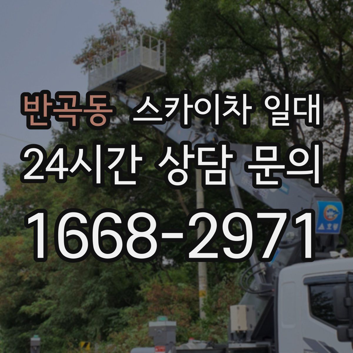 반곡동 스카이차 일대