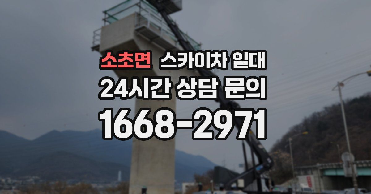소초면 스카이차 일대