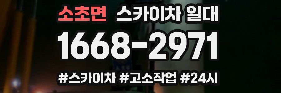 소초면 스카이차 일대