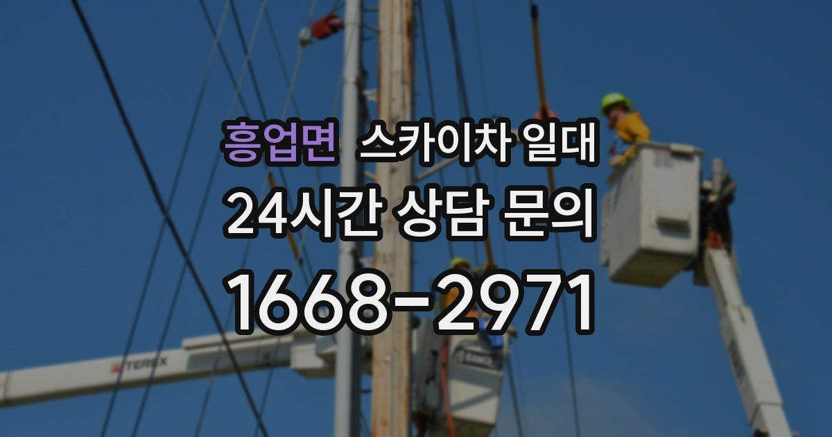흥업면 스카이차 일대