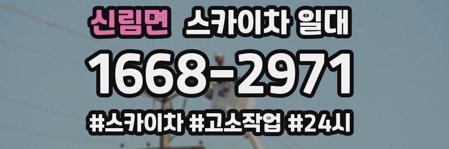 신림면 스카이차 일대