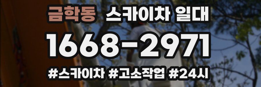 금학동 스카이차 일대
