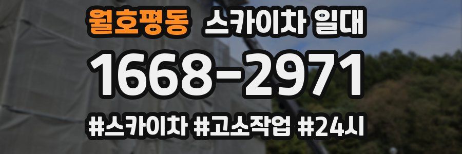 월호평동 스카이차 일대