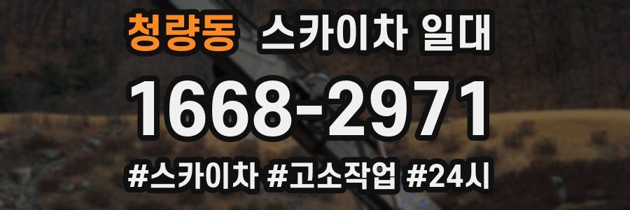청량동 스카이차 일대
