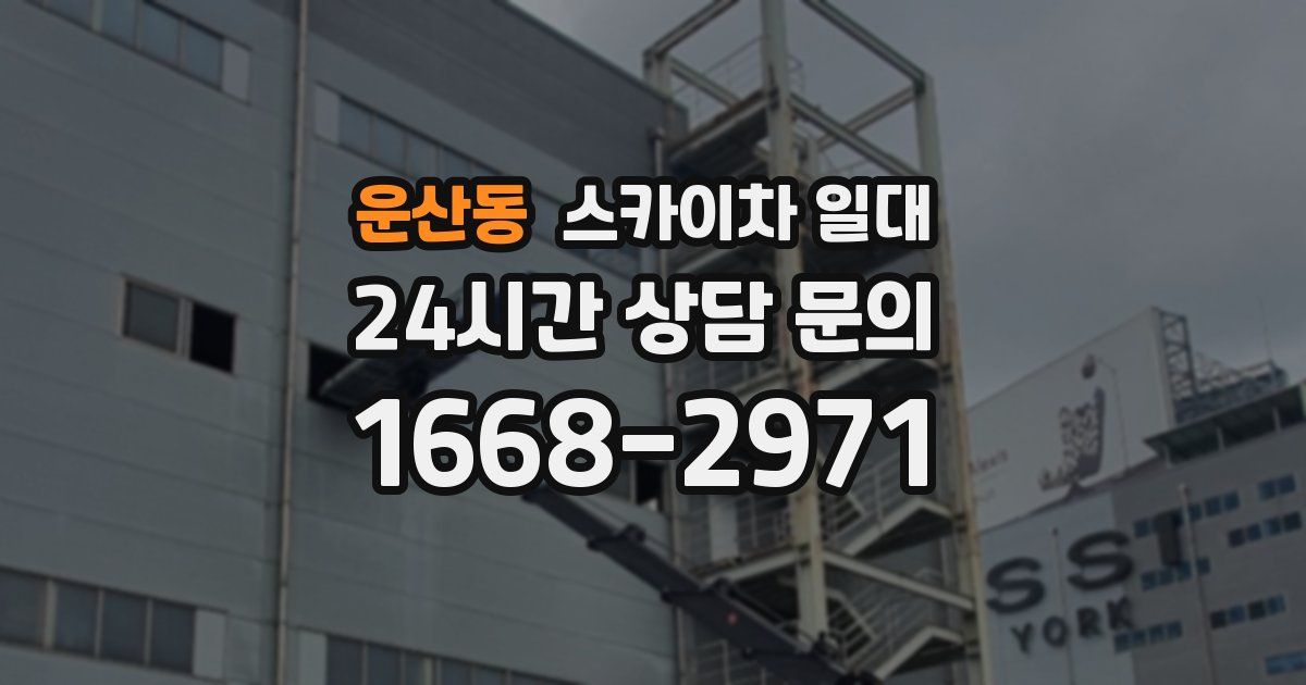운산동 스카이차 일대