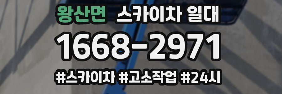 왕산면 스카이차 일대