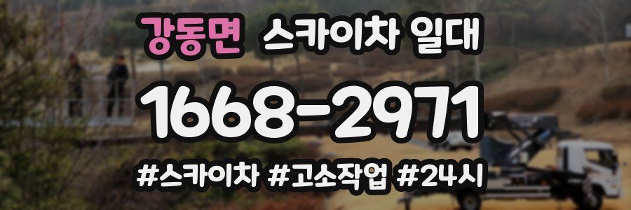 강동면 스카이차 일대