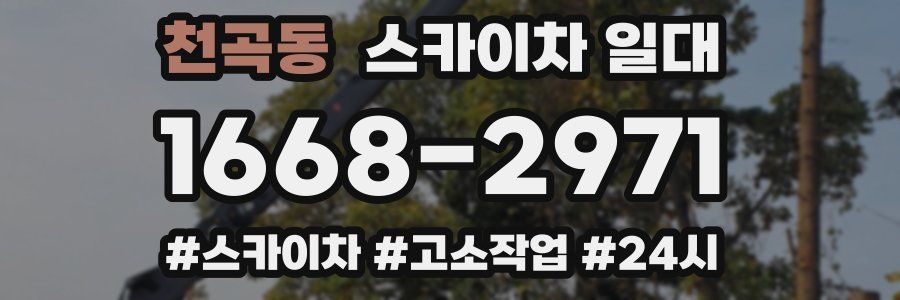 천곡동 스카이차 일대