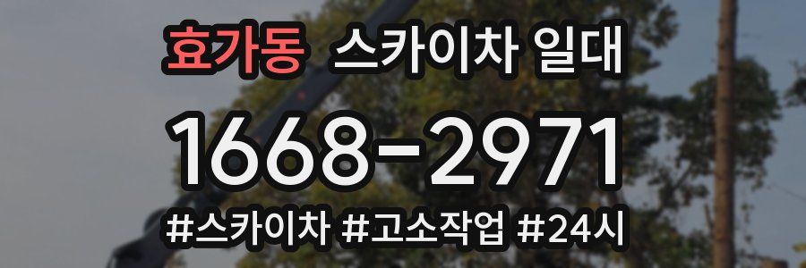 효가동 스카이차 일대
